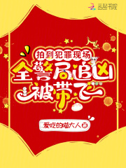 拍到犯罪现场，全警局追凶被带飞